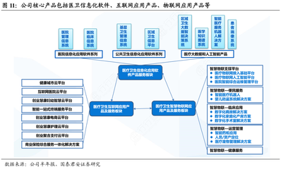 探究公司核心产品矩阵 医卫信息化、互联网应用与物联网应用